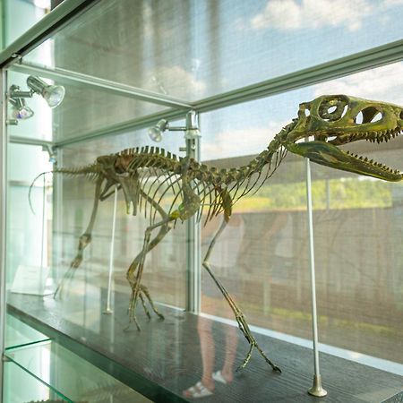 Noclegi Jurapark クラシェユフ エクステリア 写真