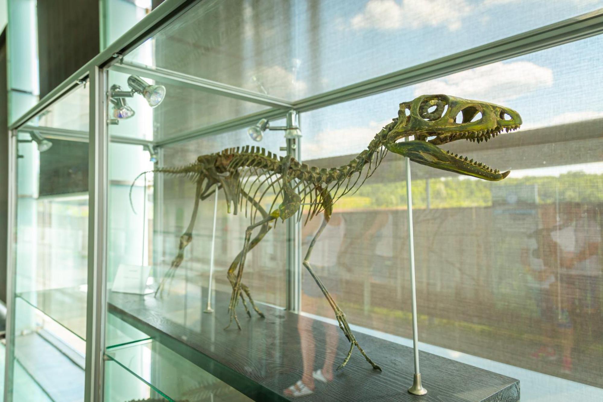 Noclegi Jurapark クラシェユフ エクステリア 写真